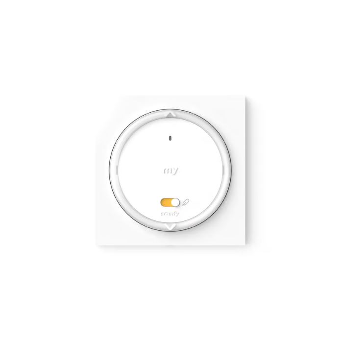 Pilot ścienny Somfy Amy 1 RS100 io 