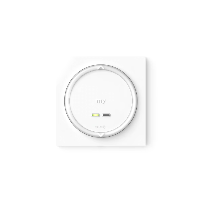 Pilot ścienny Somfy Amy 2 Modes io